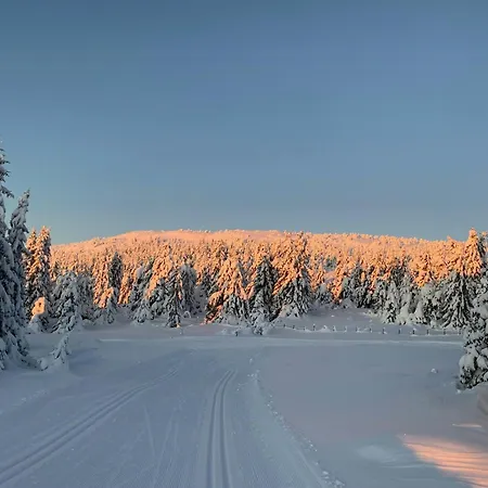 Cosy With Inout In Hafjell Øyer