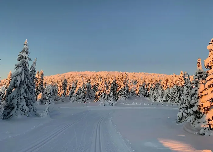 Cosy With Inout In Hafjell Øyer